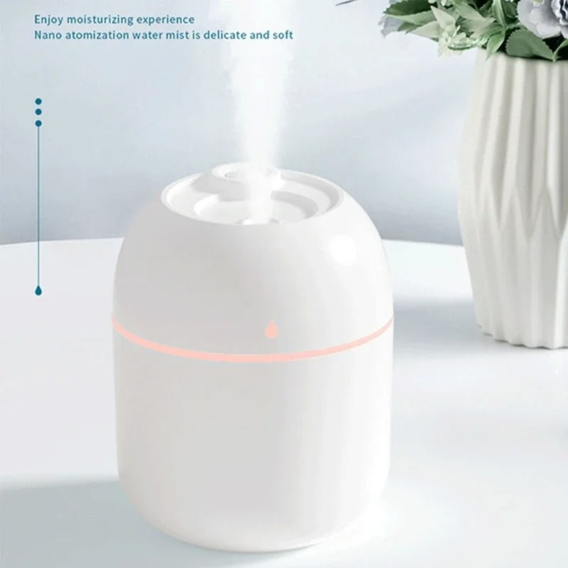 Portable 220ml H2O Mini Humidifier