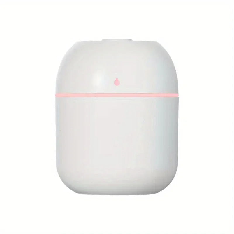 Portable 220ml H2O Mini Humidifier